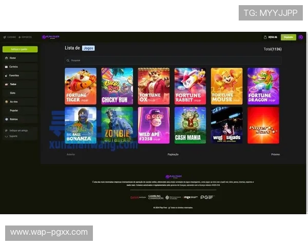 PG游戏下载入口官方最新版本,安全稳定的游戏下载渠道推荐