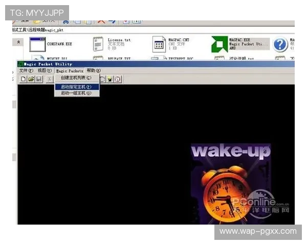 如何快速找到PG官方网站入口，详细步骤指导让你顺利进入游戏世界