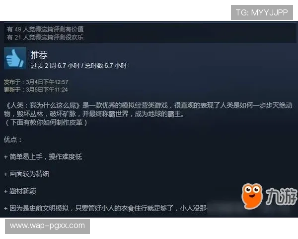 PG网站用户评价与反馈真实玩家体验分享帮助新手做出明智选择