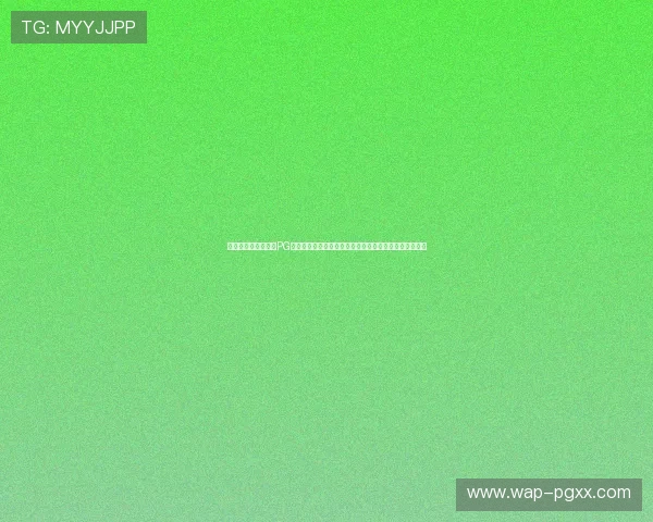 如何选择适合自己的PG游戏模拟器，满足不同设备和游戏需求的详细比较与建议
